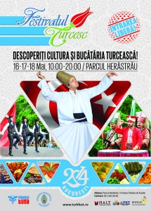 festivalul turcesc 2014 50x70 poster to press