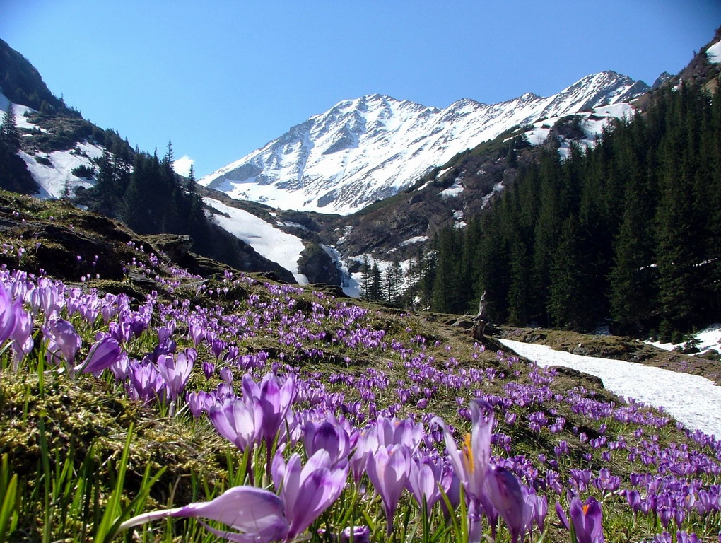 Fotografii Munte Bucegi Fagarasi Cabane Munte Iarna Munte