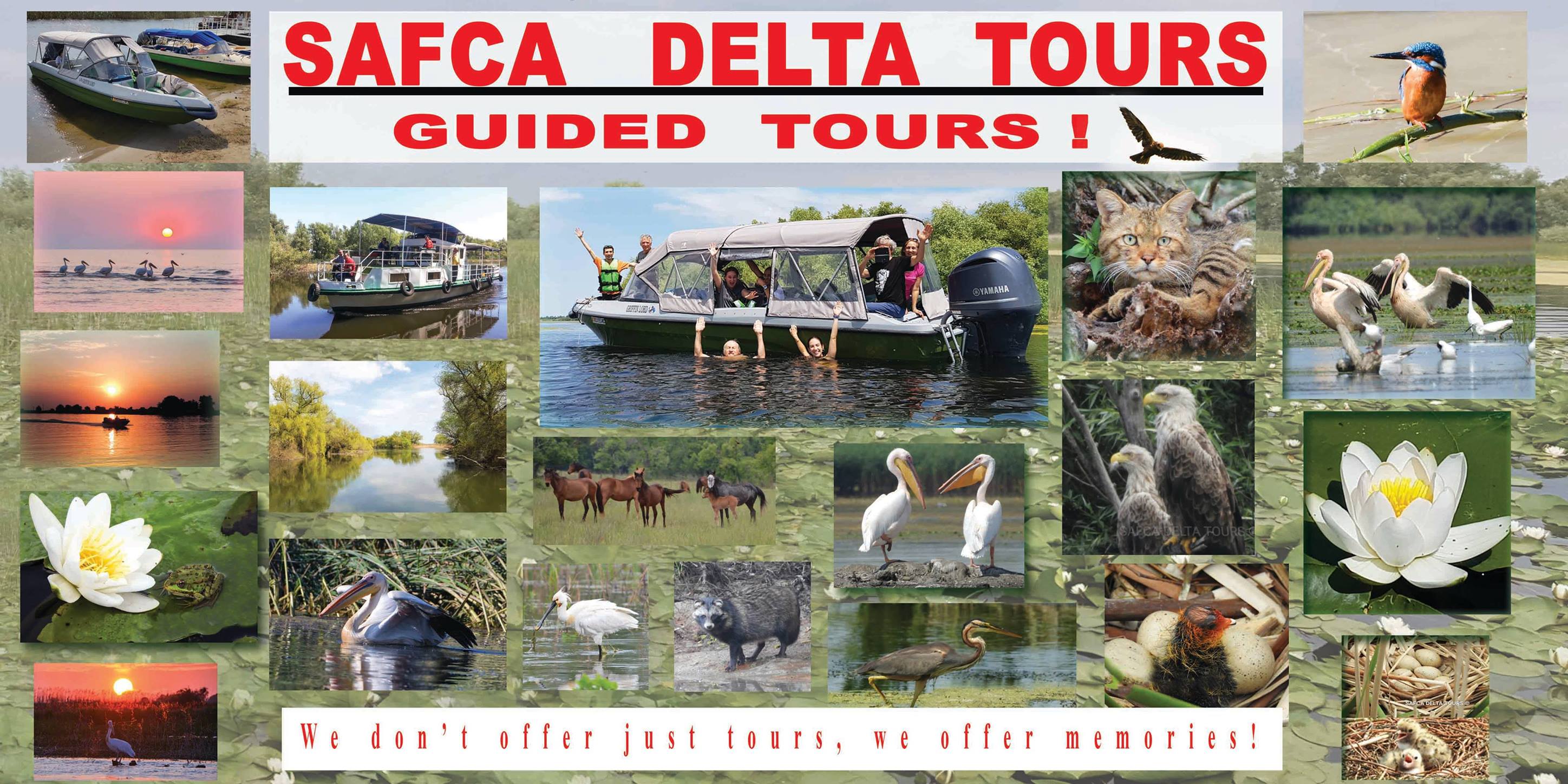 Imagine tur Delta Dunarii excursii de grup (Group Tours)